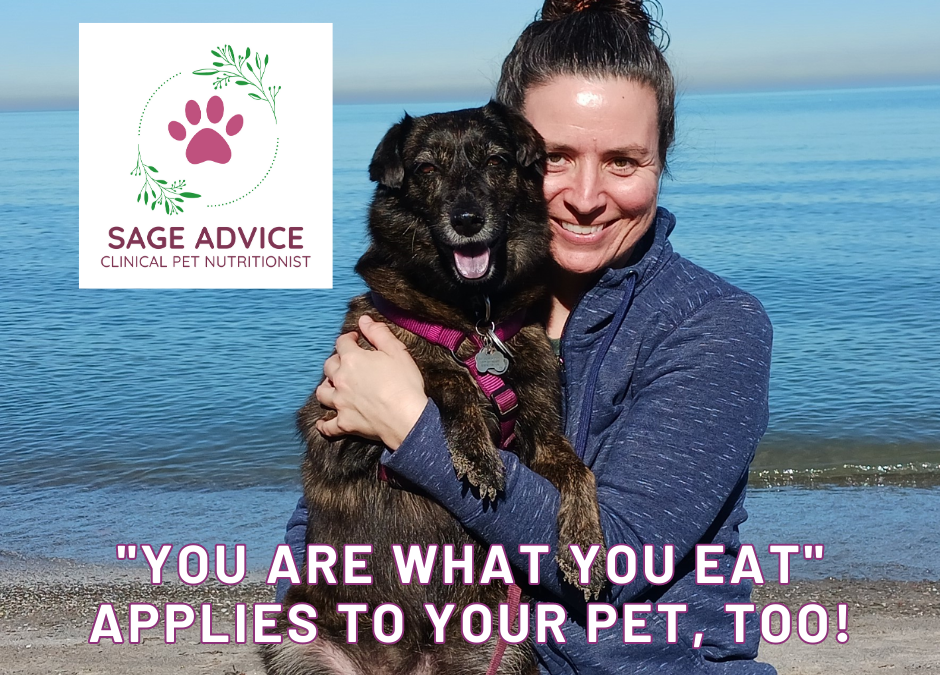 Sage Advice LLC, Clinical Pet Nutritionist